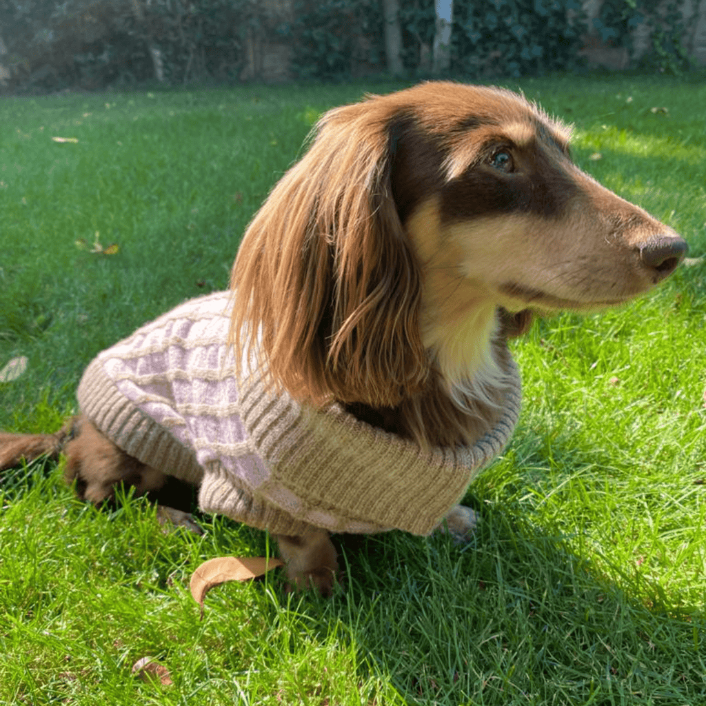 Paddy Dog Jumper Pink - Slickers ◊ Doghouse