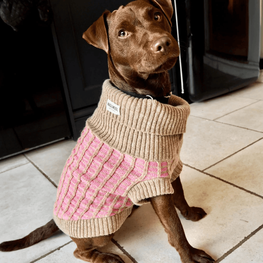 Paddy Dog Jumper Pink - Slickers ◊ Doghouse