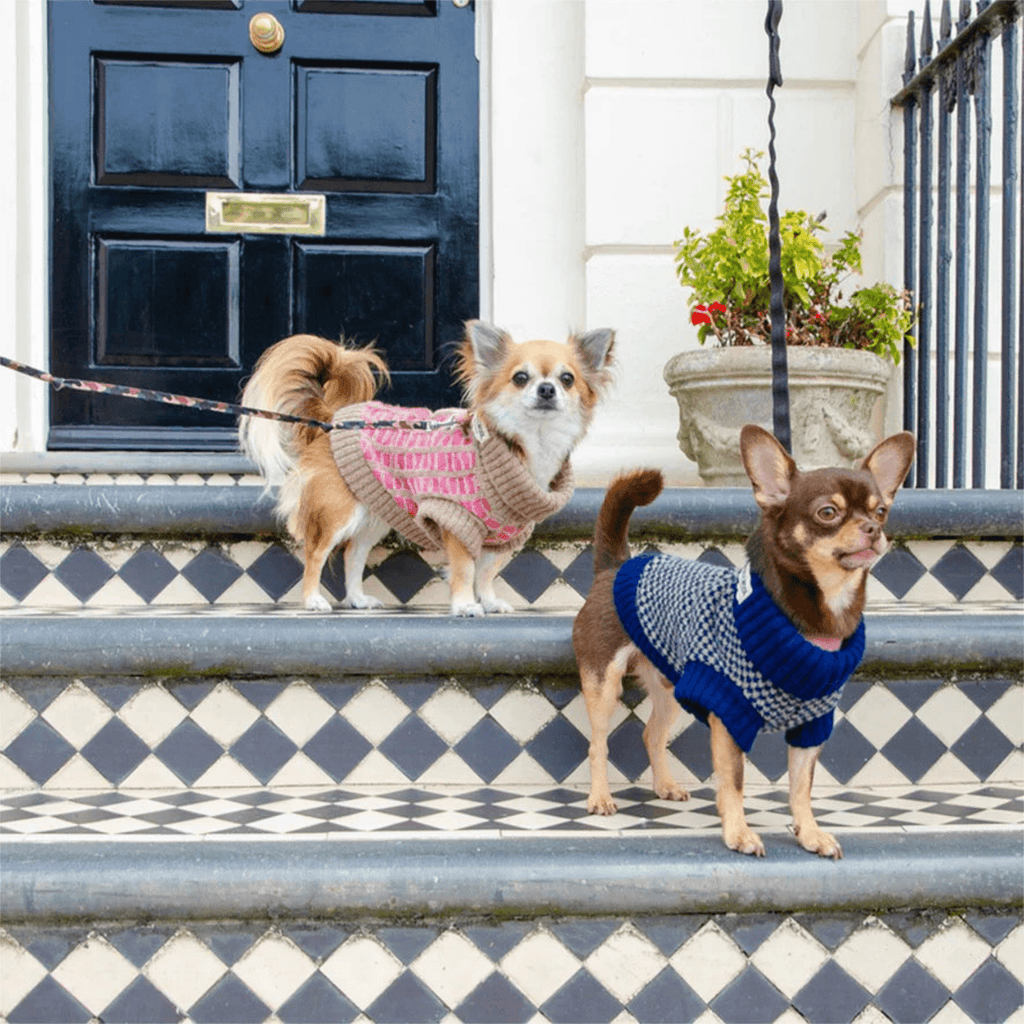 Paddy Dog Jumper Pink - Slickers ◊ Doghouse