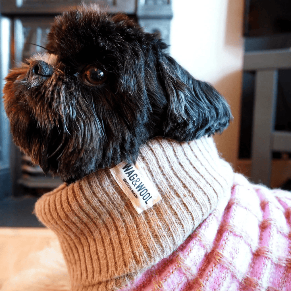 Paddy Dog Jumper Pink - Slickers ◊ Doghouse