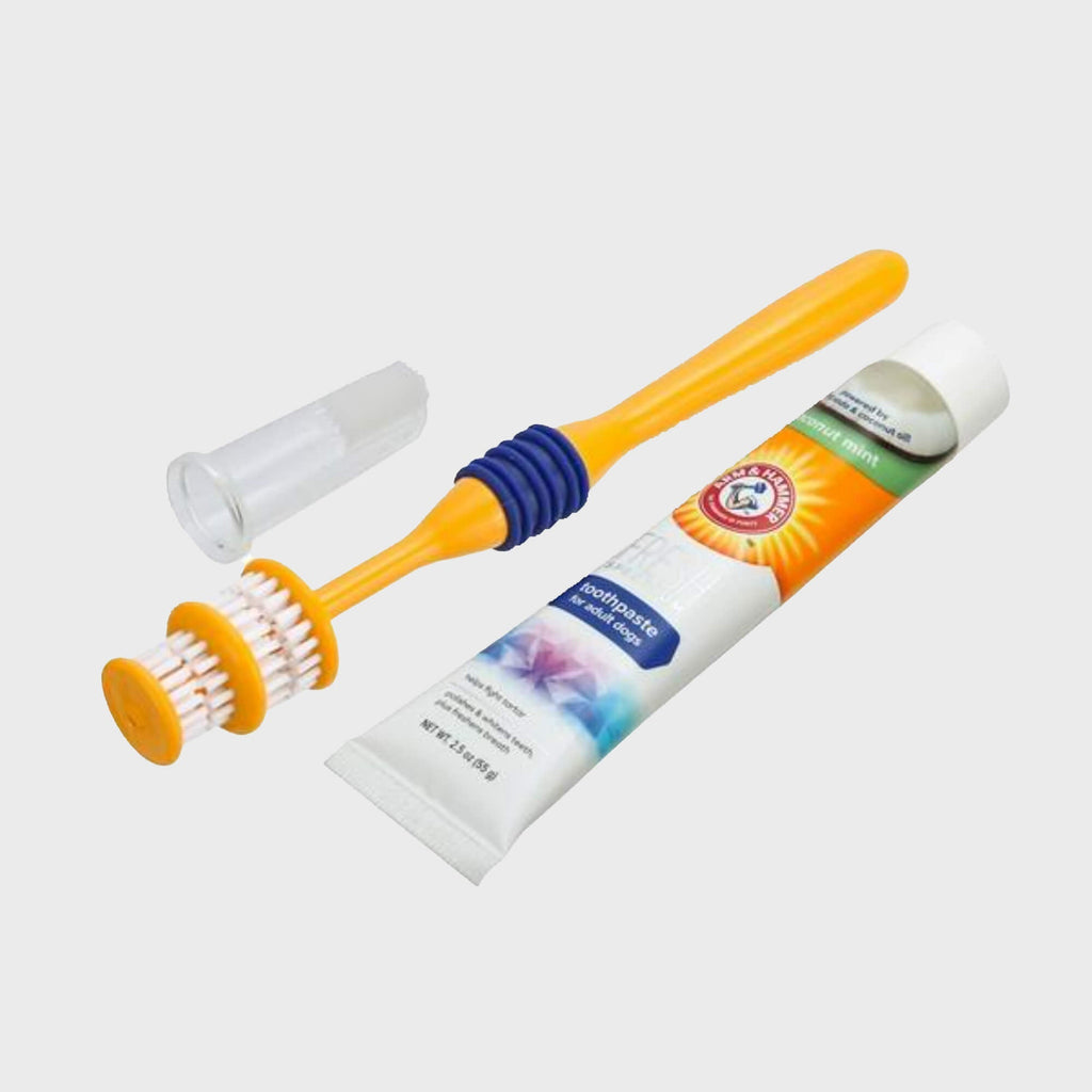 Arm & Hammer Fresh Coconut Dental Kit for Dogs - Slickers ‚óä Doghouse