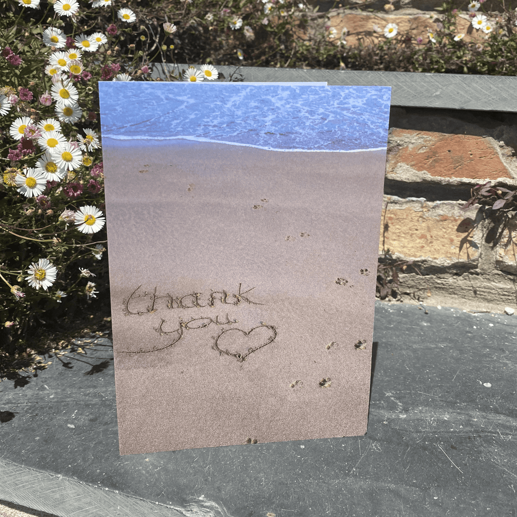 Postcards - Slickers ◊ Doghouse