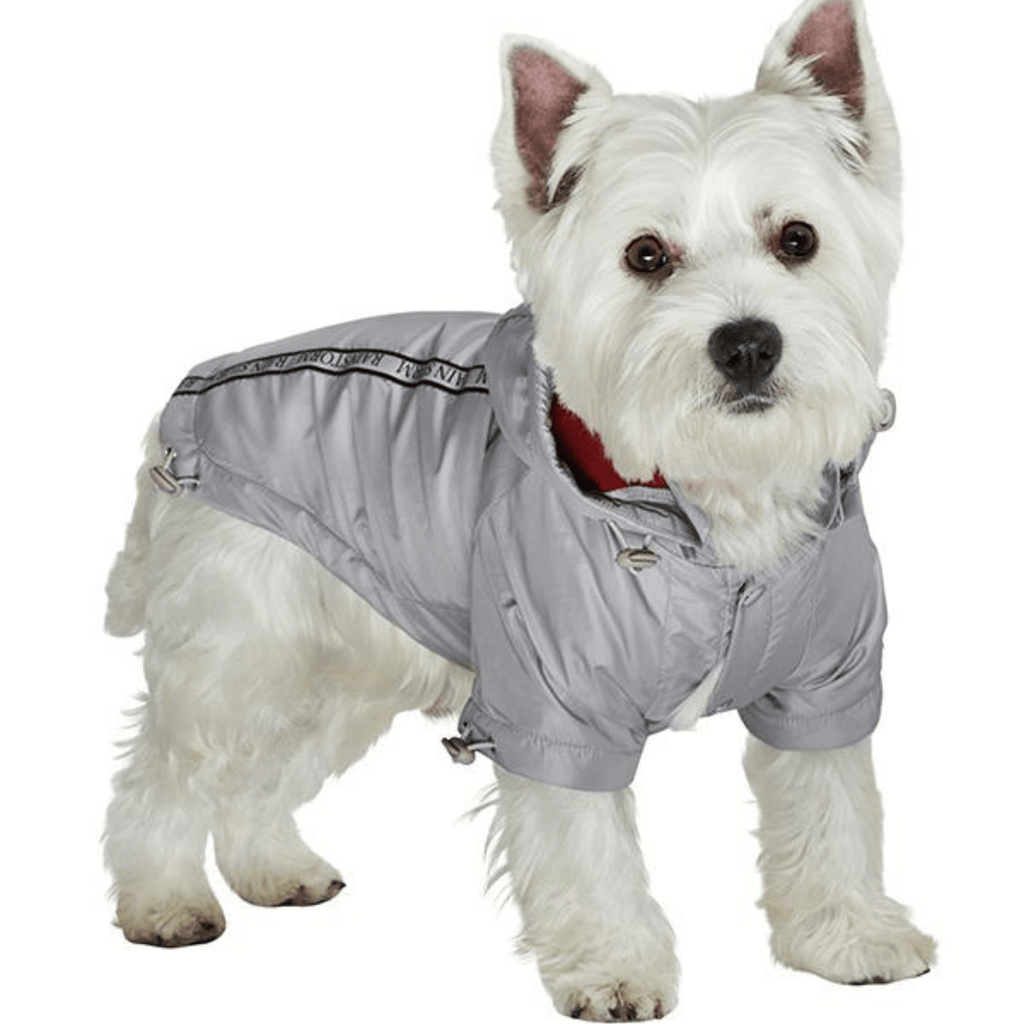 Rainstorm Coats - Slickers ◊ Doghouse