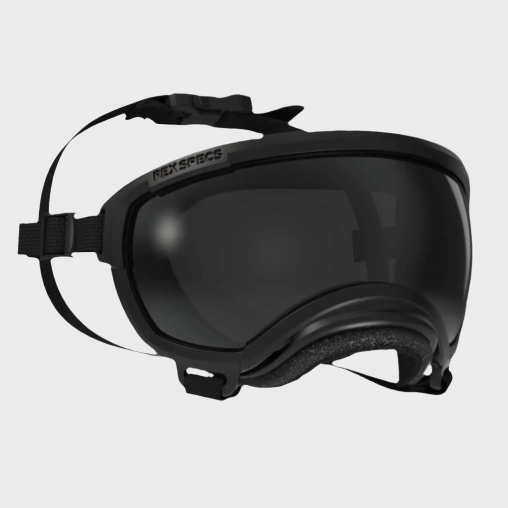 Rex Specs Dog Goggles V2 - Slickers ◊ Doghouse