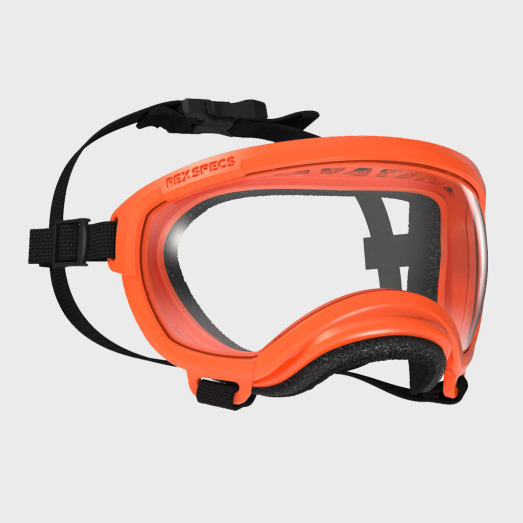 Rex Specs Dog Eye Goggles XSmall / Bandit Orange Rex Specs Dog Goggles V2