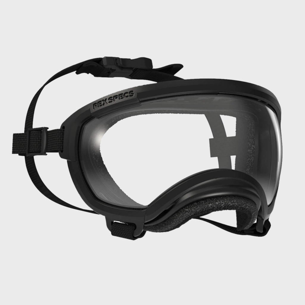 Rex Specs Dog Goggles V2 - Black - Slickers ◊ Doghouse