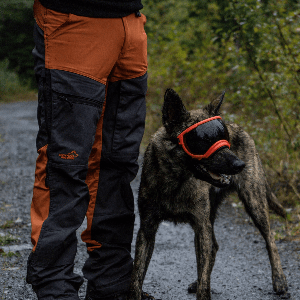 Rex Specs Dog Goggles V2 - Mountain View Mint - Slickers ◊ Doghouse