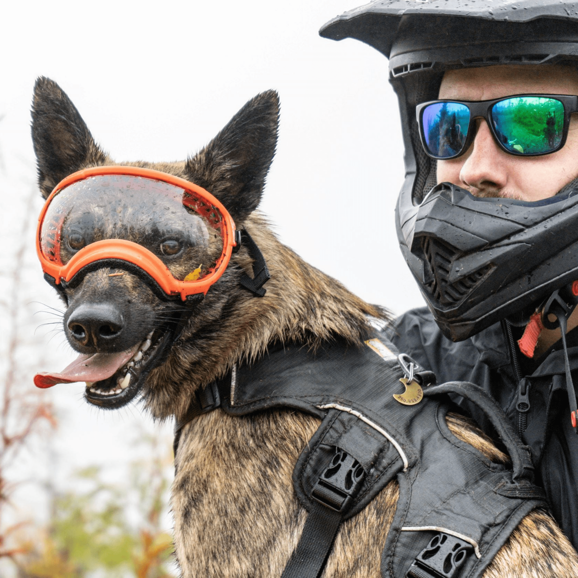 tactical goggles for dogs Rex Specs Dog Goggles V2 - Balkan Blue
