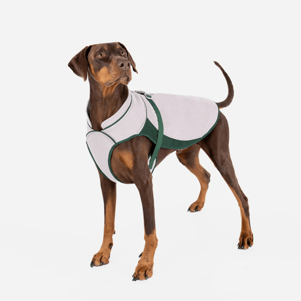 Ruff and Tumble Cool Coat - Slickers ◊ Doghouse