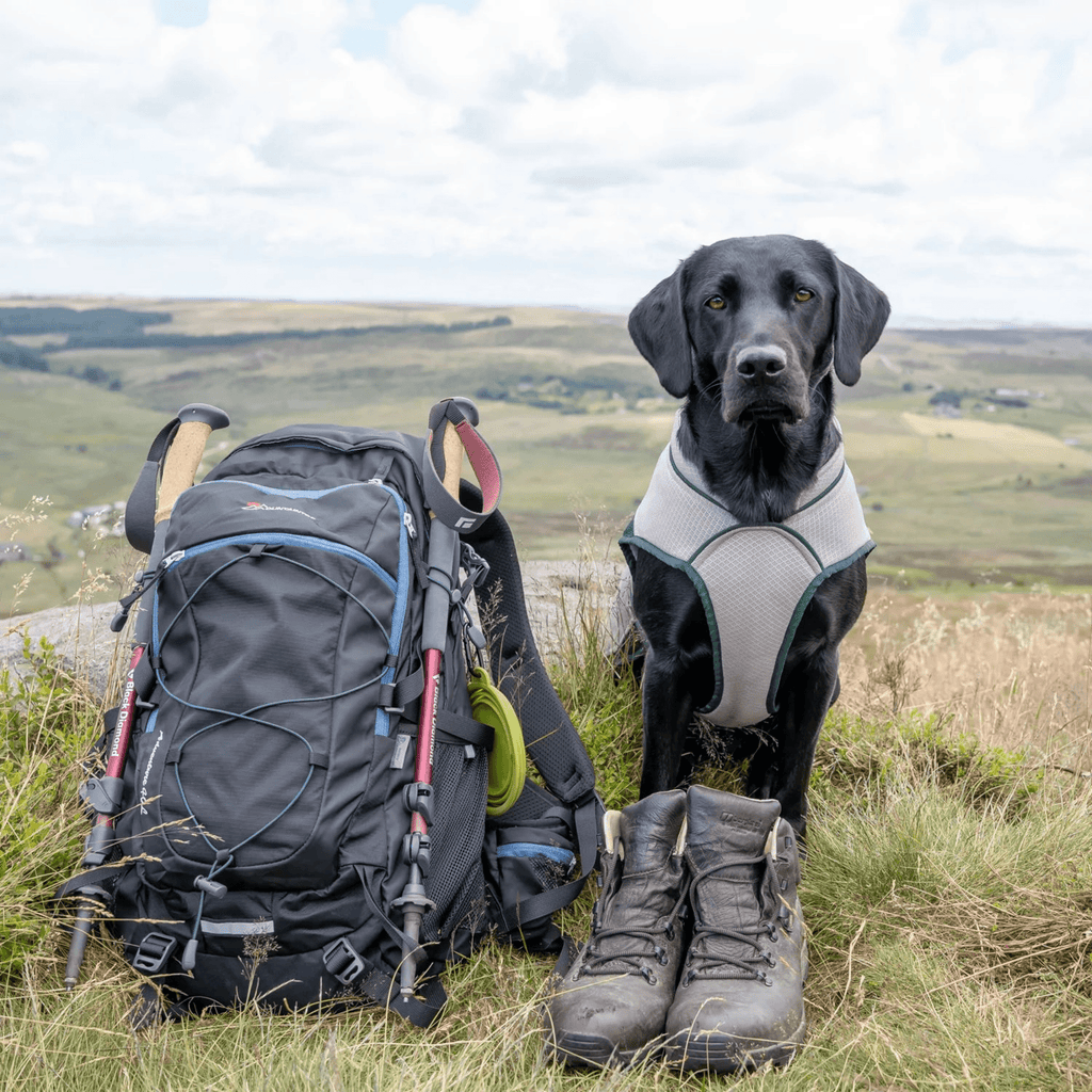 Ruff and Tumble Cool Coat - Slickers ◊ Doghouse