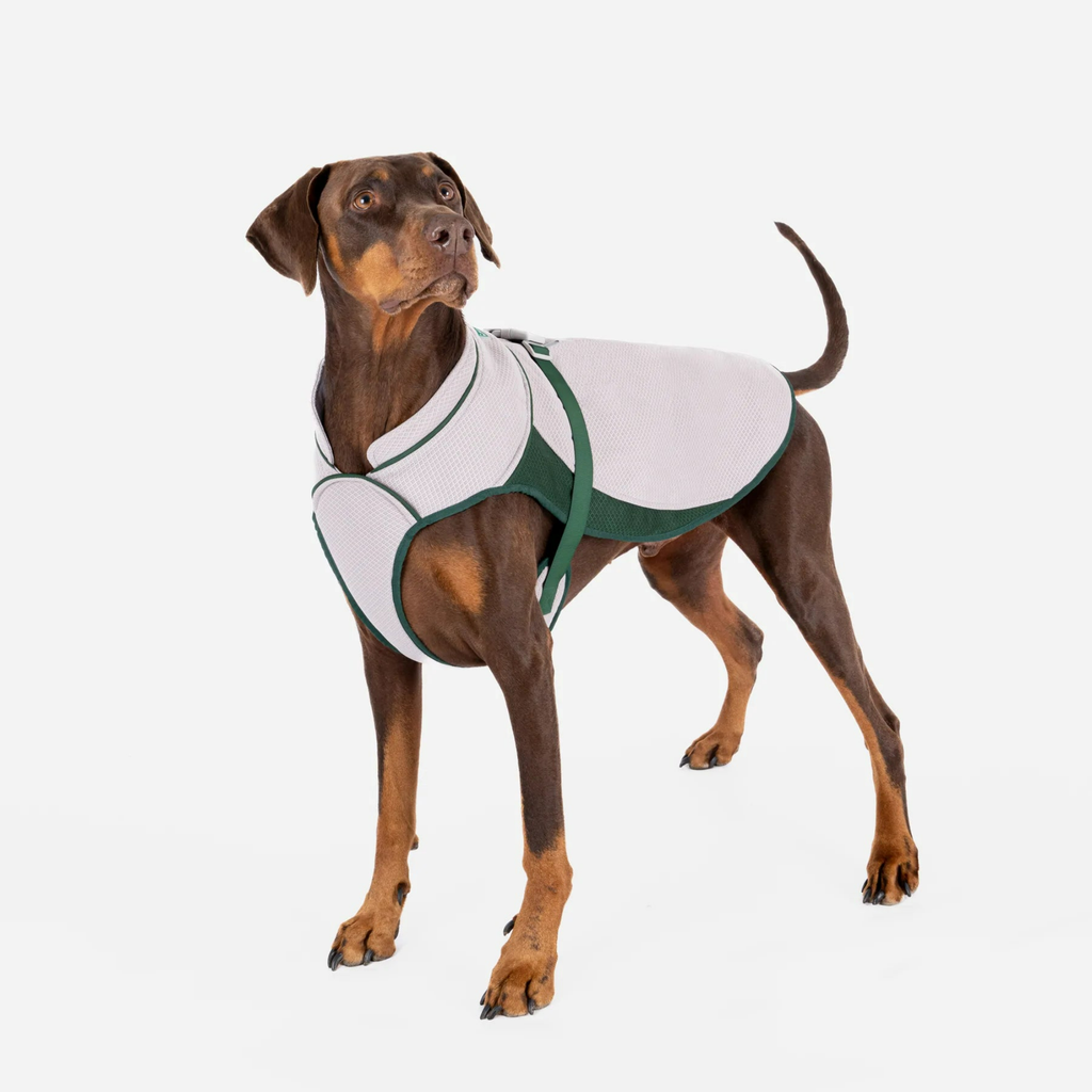 Ruff and Tumble Cool Coat - Slickers ‚óä Doghouse