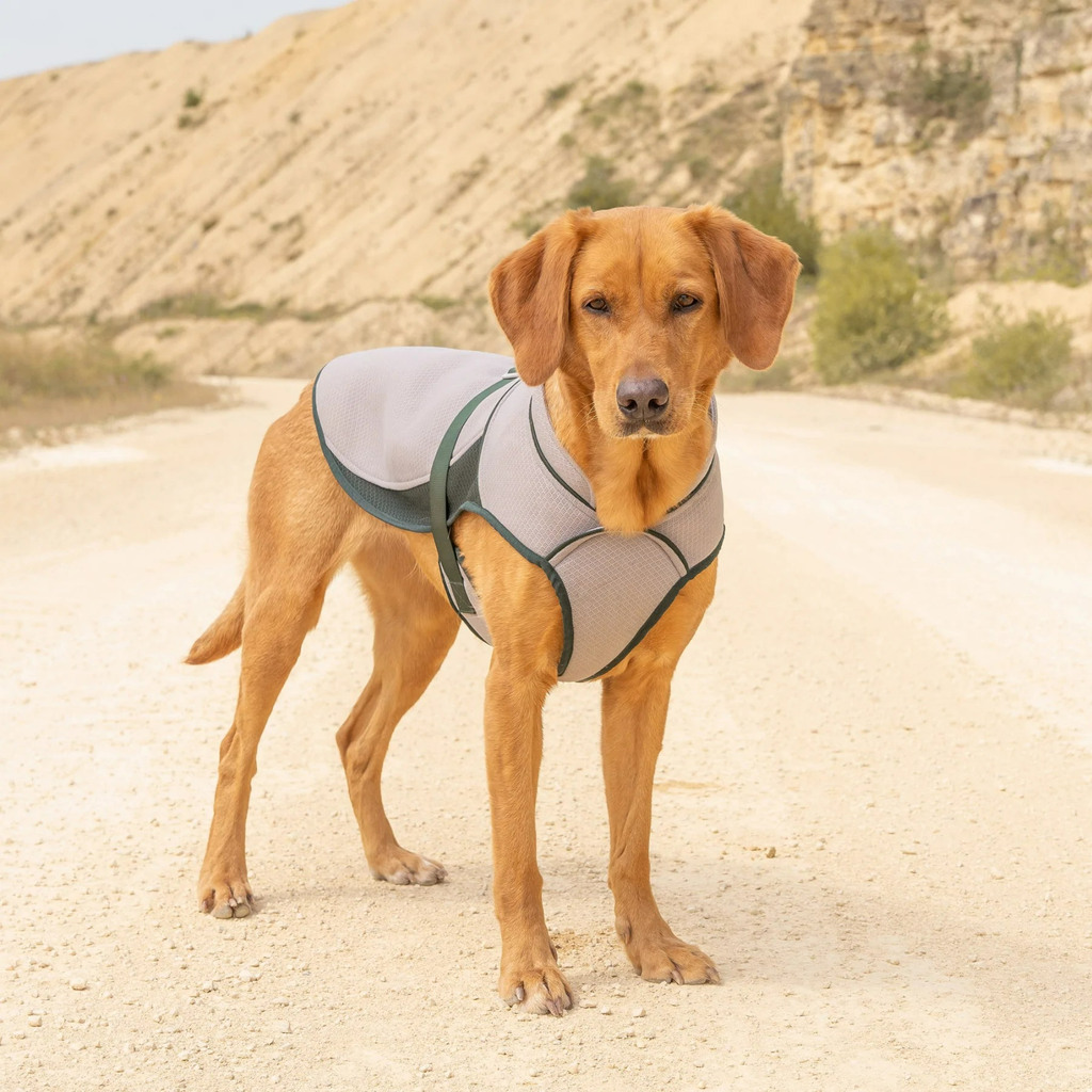 Ruff and Tumble Cool Coat - Slickers ‚óä Doghouse