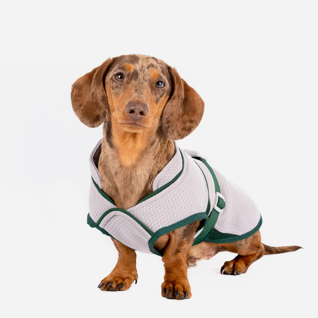 Ruff and Tumble Cool Coat - Slickers ‚óä Doghouse