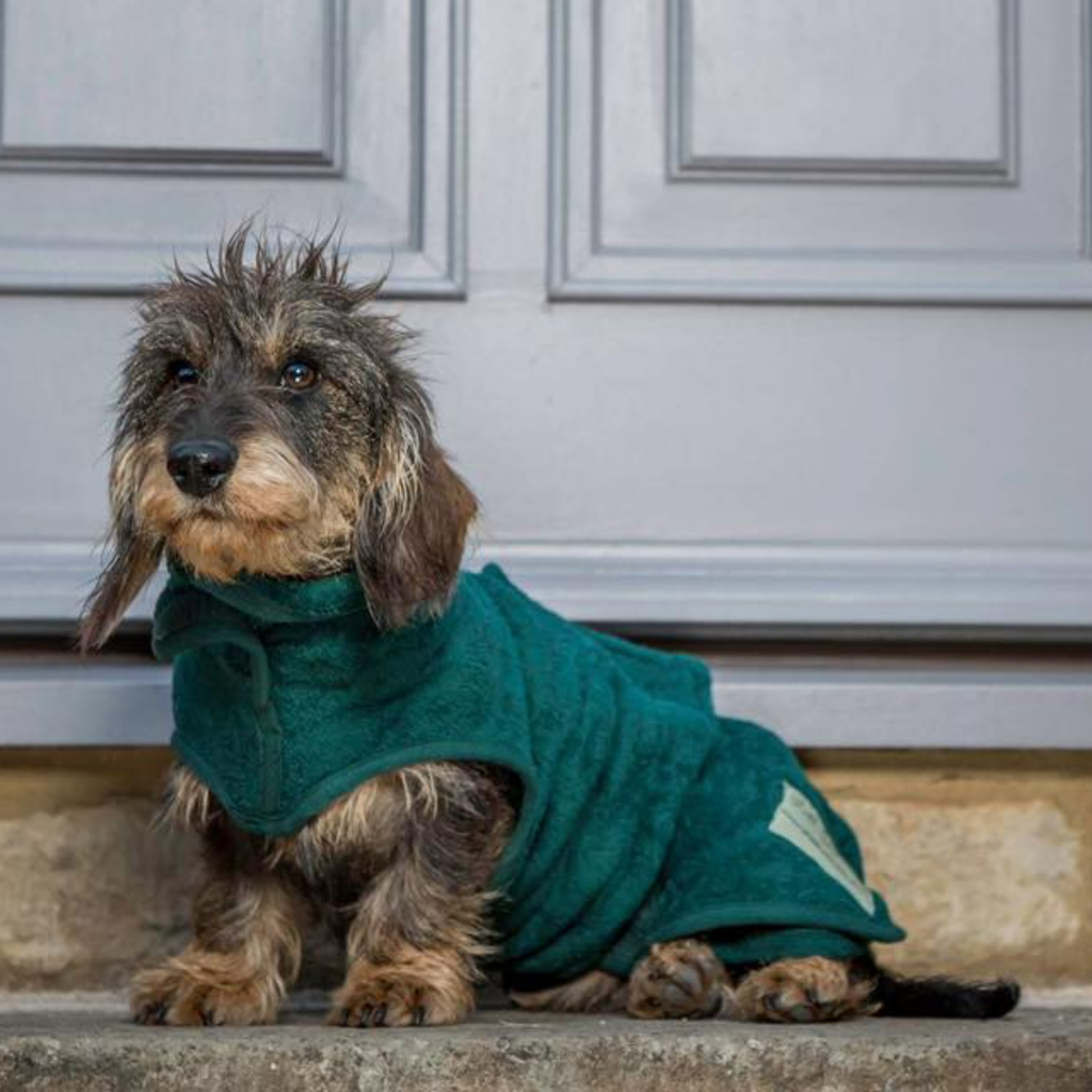 Ruff and Tumble Dachshund Dog Drying Coat - Dachshund Collection