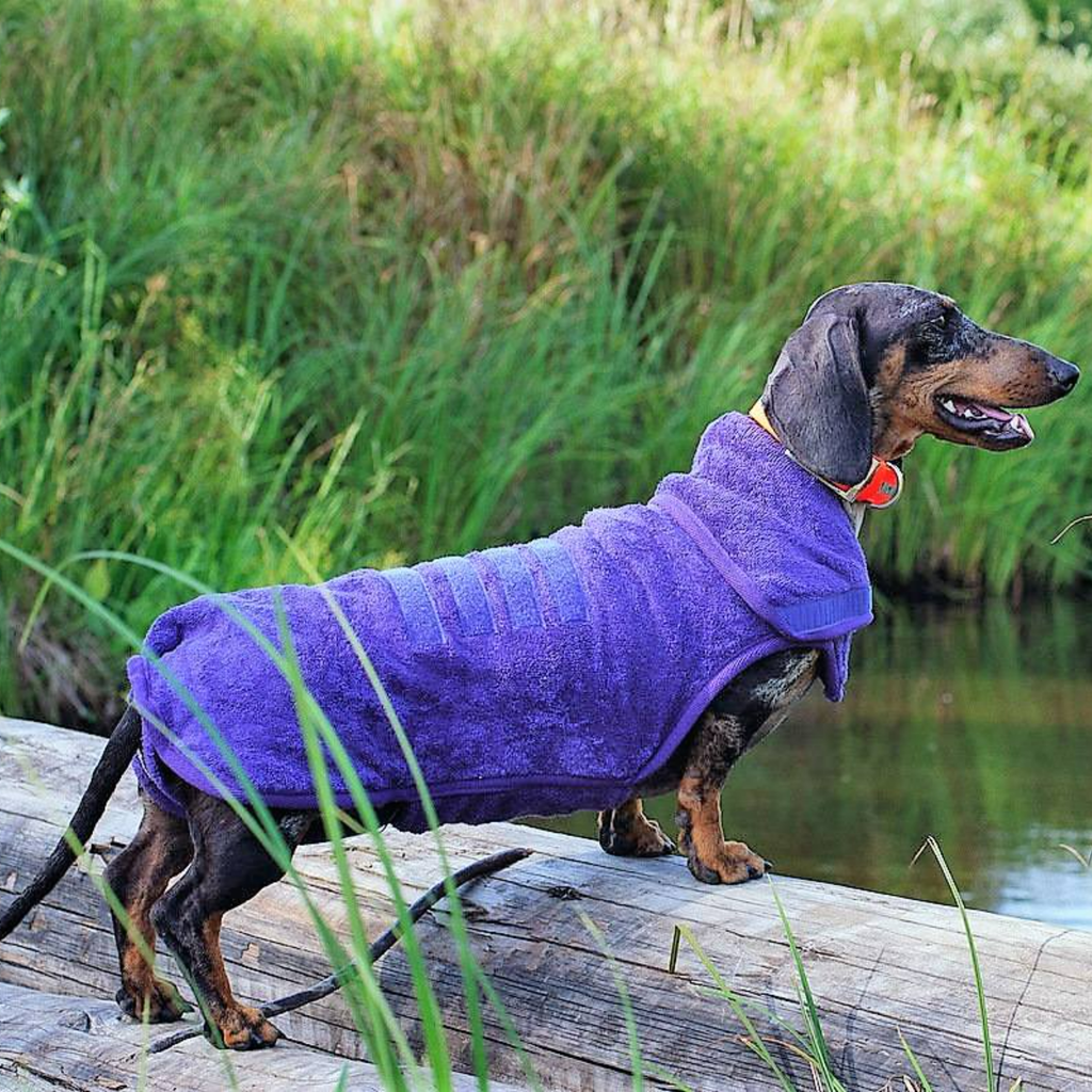 Ruff and Tumble Dachshund Dog Drying Coat - Dachshund Collection