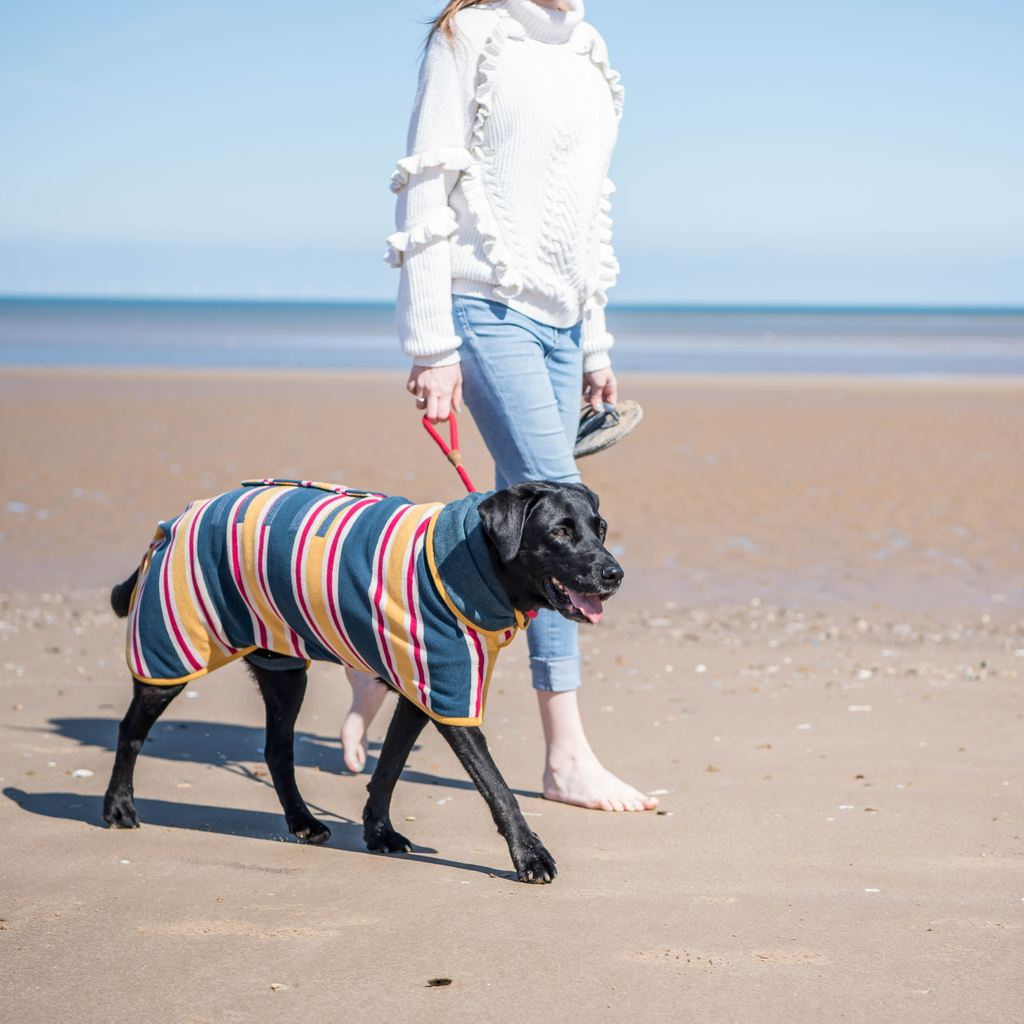 Dog Drying Coat - Design Collection - Slickers ‚óä Doghouse