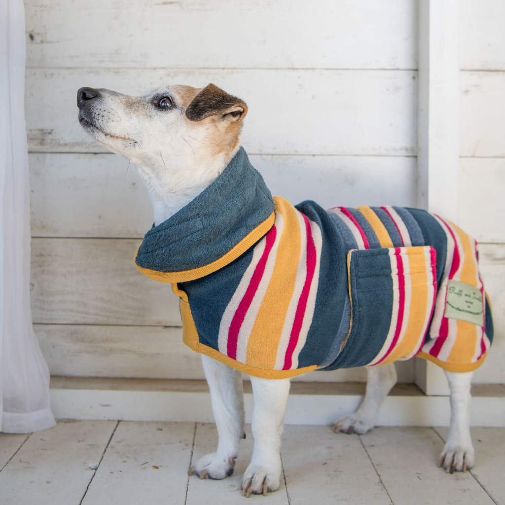Dog Drying Coat - Design Collection - Slickers ‚óä Doghouse