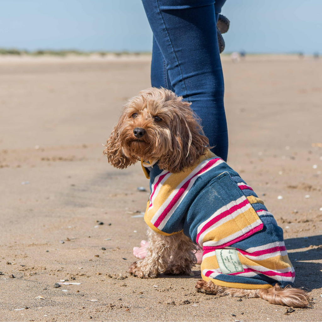 Ruff and Tumble Drying Coat Dog Drying Coat - Design Collection