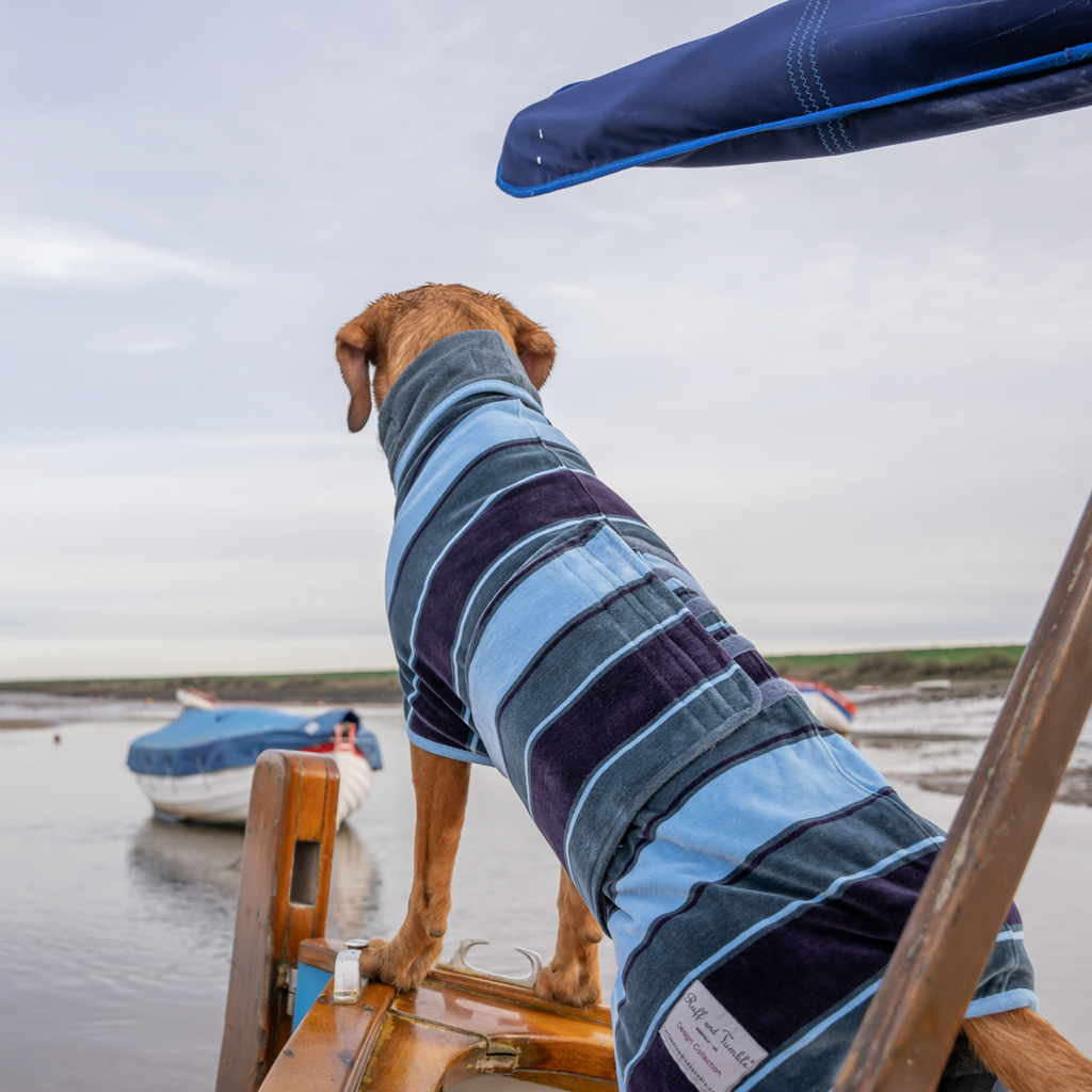 Dog Drying Coat - Design Collection - Slickers ‚óä Doghouse