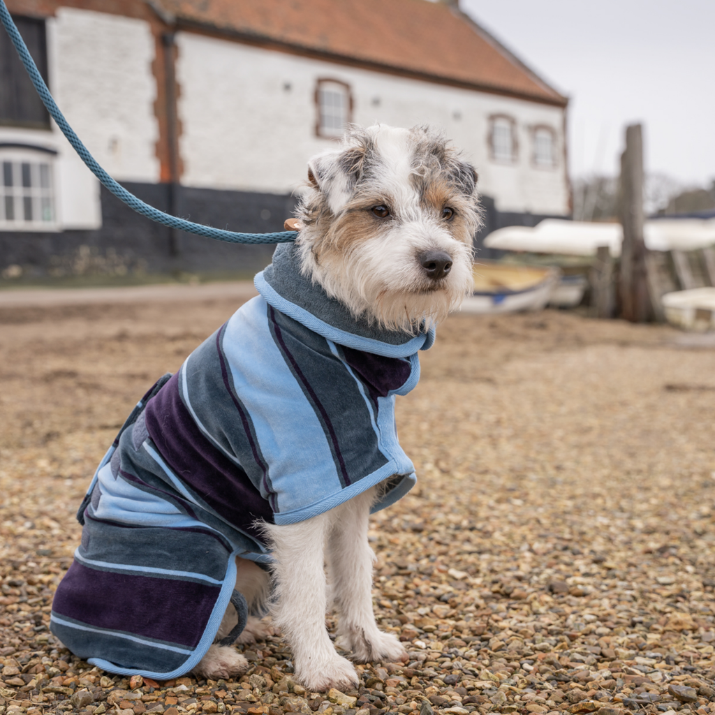 Ruff and Tumble Drying Coat Dog Drying Coat - Design Collection