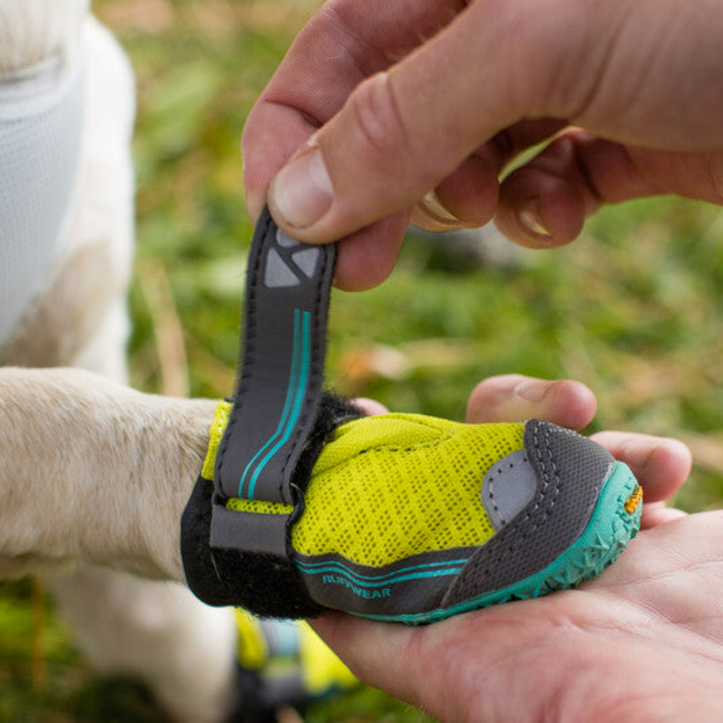 Grip Trex Dog Boots - Slickers ‚óä Doghouse