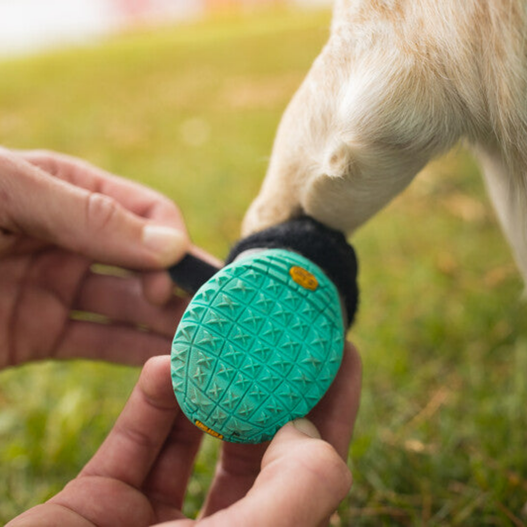 Grip Trex Dog Boots - Slickers ‚óä Doghouse
