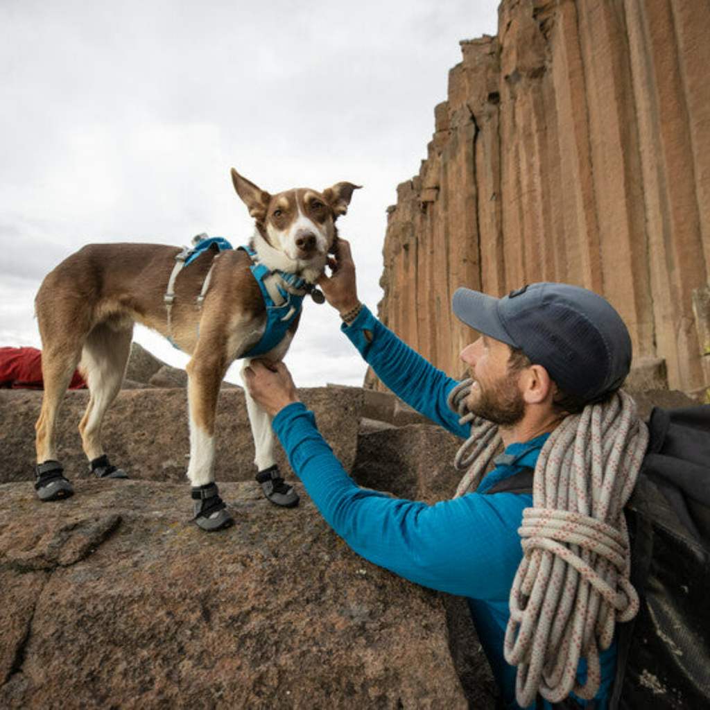Grip Trex Dog Boots - Slickers ‚óä Doghouse