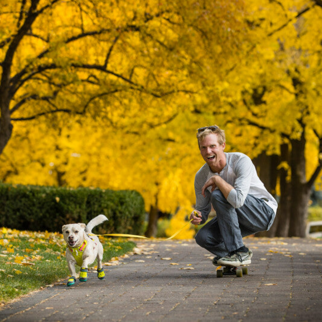 Grip Trex Dog Boots - Slickers ‚óä Doghouse