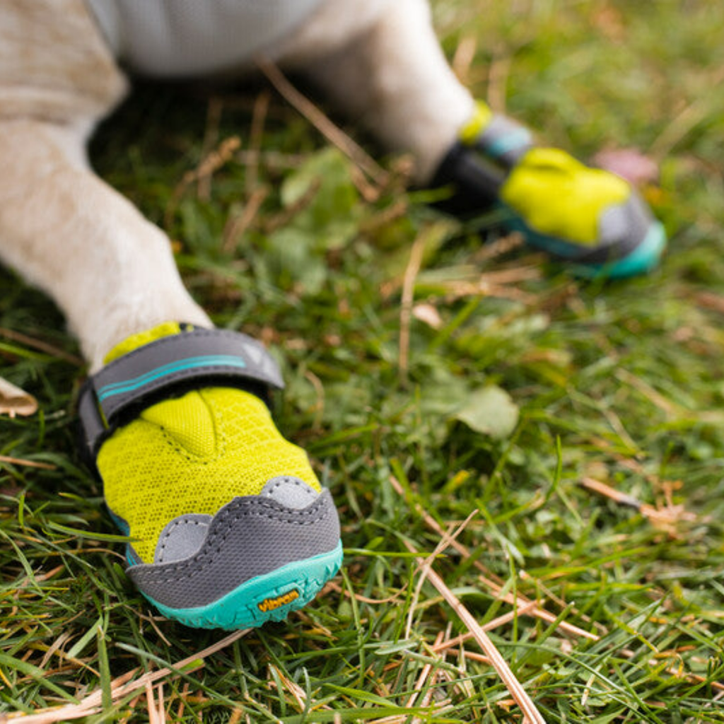 Grip Trex Dog Boots - Slickers ‚óä Doghouse