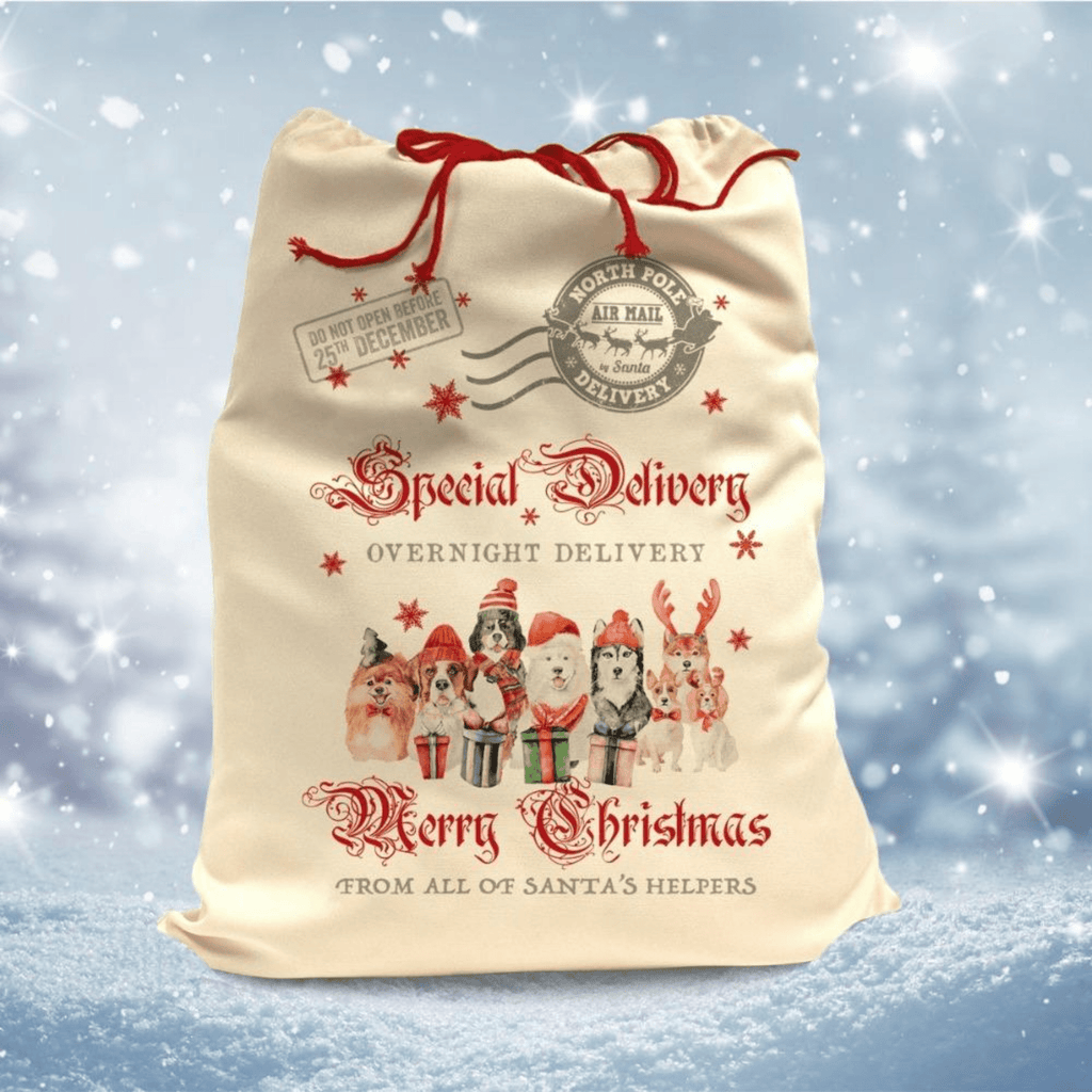 Santa Sack - Slickers ◊ Doghouse