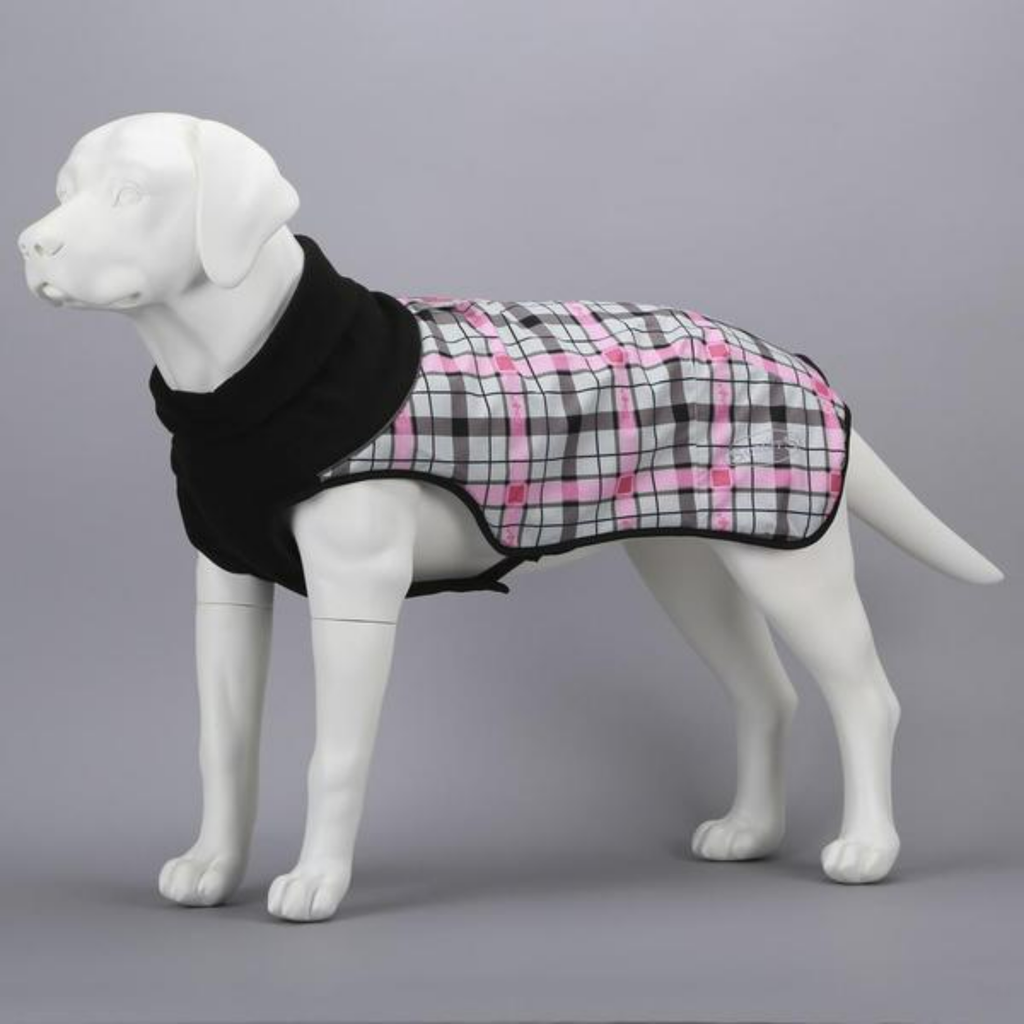 Scruffs Coats Thermal Reflective Dog Jacket- Calamity