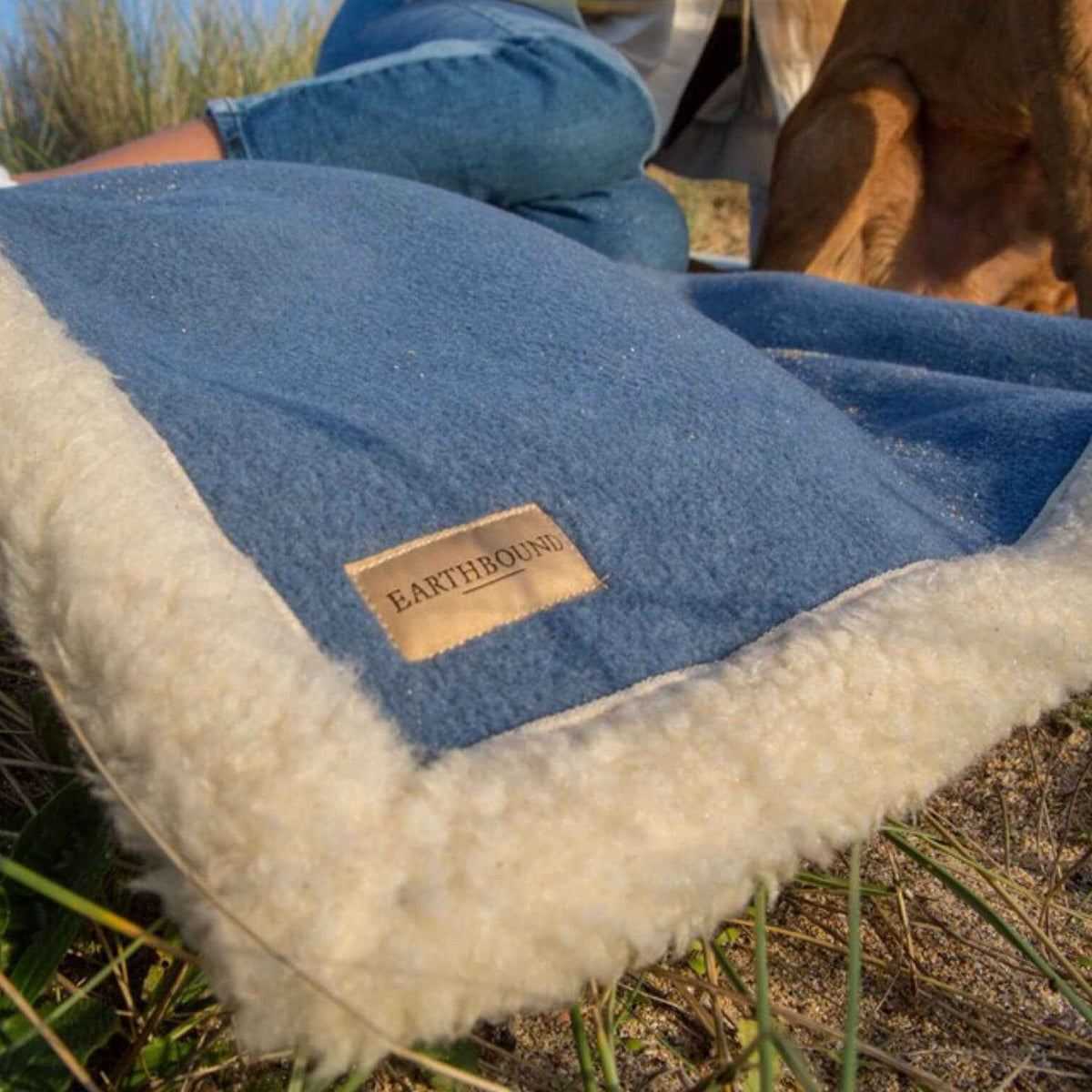 Sherpa Pet Blanket | Dog Shop – Slickers Doghouse