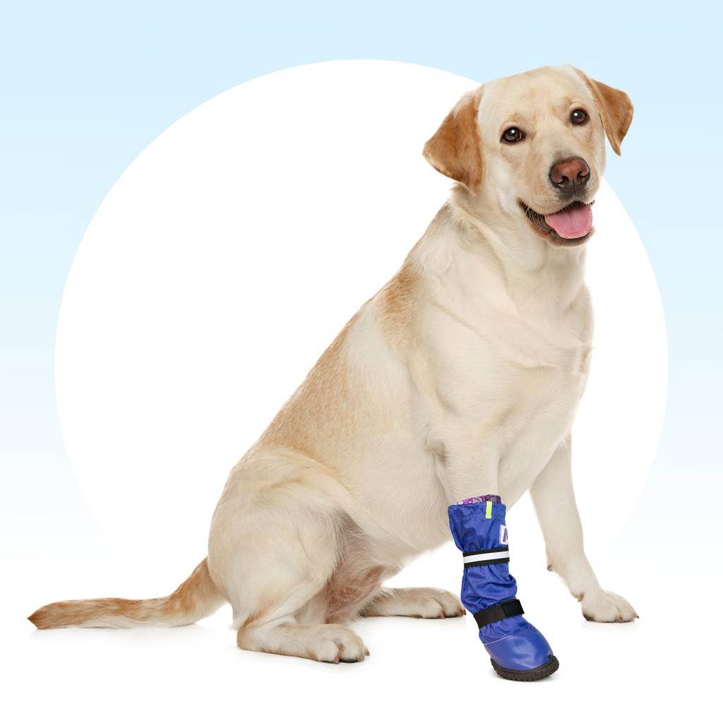 MPS Medical PetS Boot - Slickers ‚Äö√≥√§ Doghouse