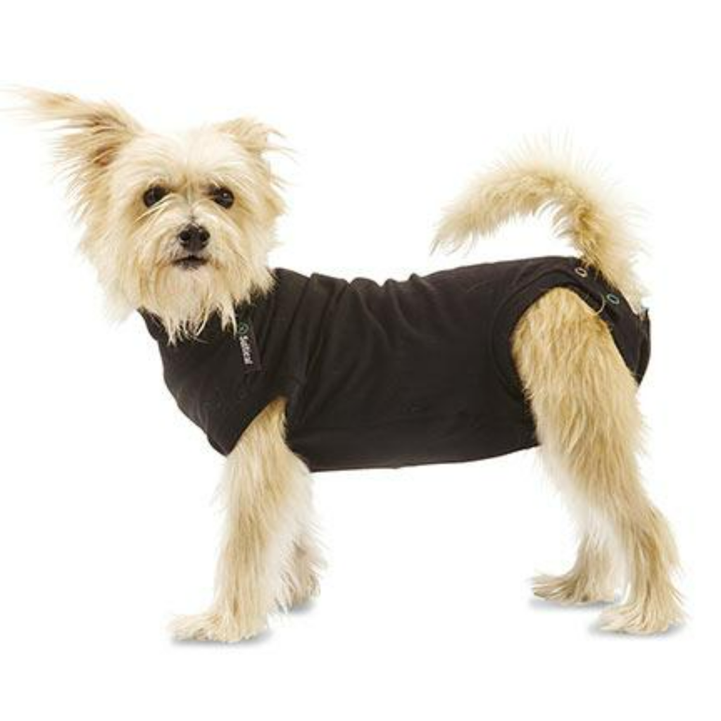 Dog Recovery Suit - Slickers ‚Äö√≥√§ Doghouse
