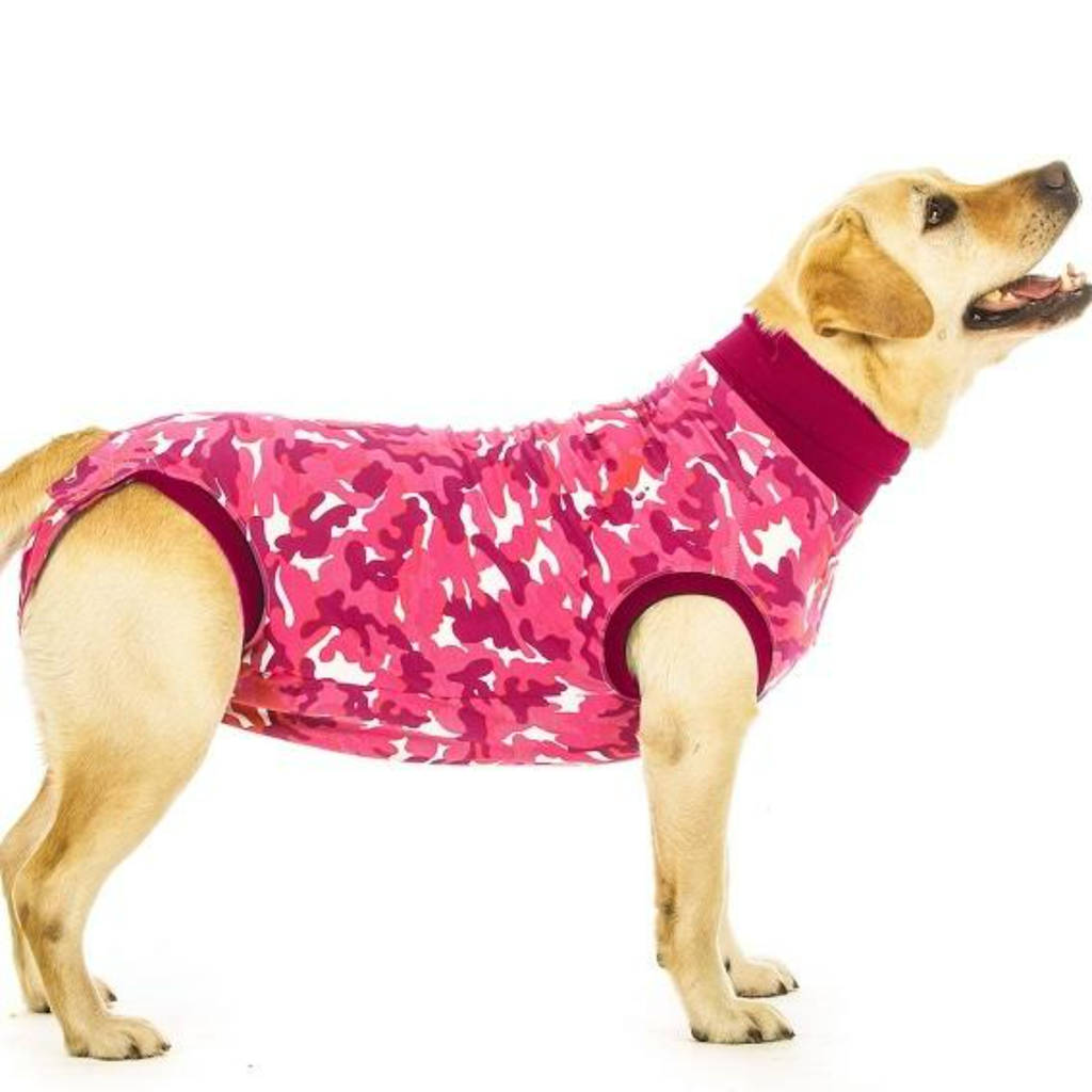 Dog Recovery Suit - Slickers ‚Äö√≥√§ Doghouse