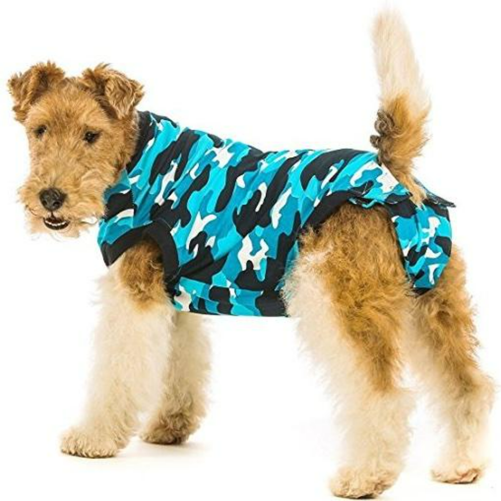 Dog Recovery Suit - Slickers ‚Äö√≥√§ Doghouse