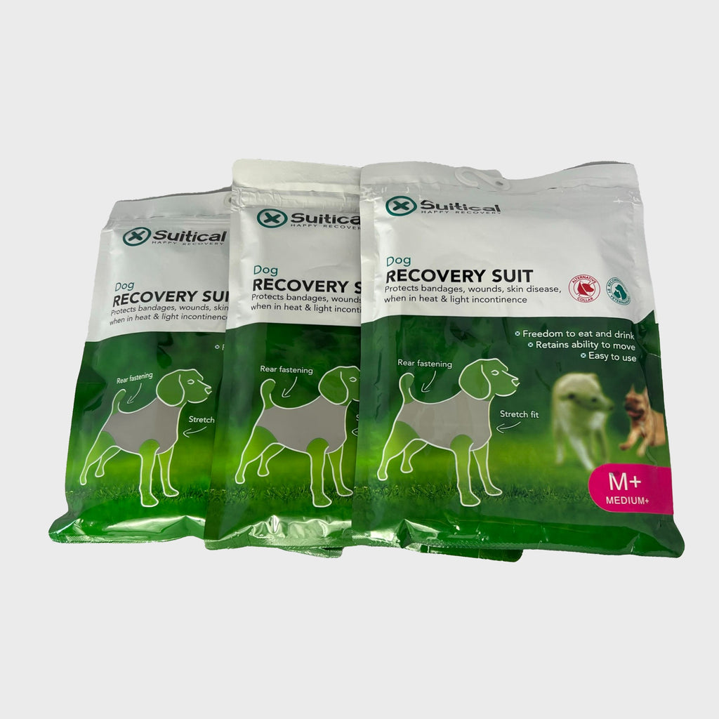 Dog Recovery Suit - Slickers ‚Äö√≥√§ Doghouse