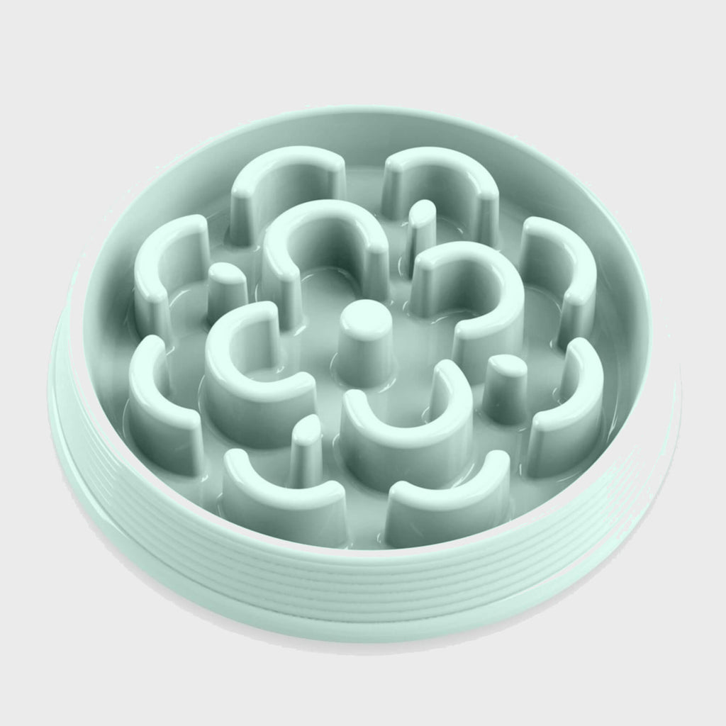 Medallion slow feeder puzzle dog bowl - Slickers ‚Äö√≥√§ Doghouse
