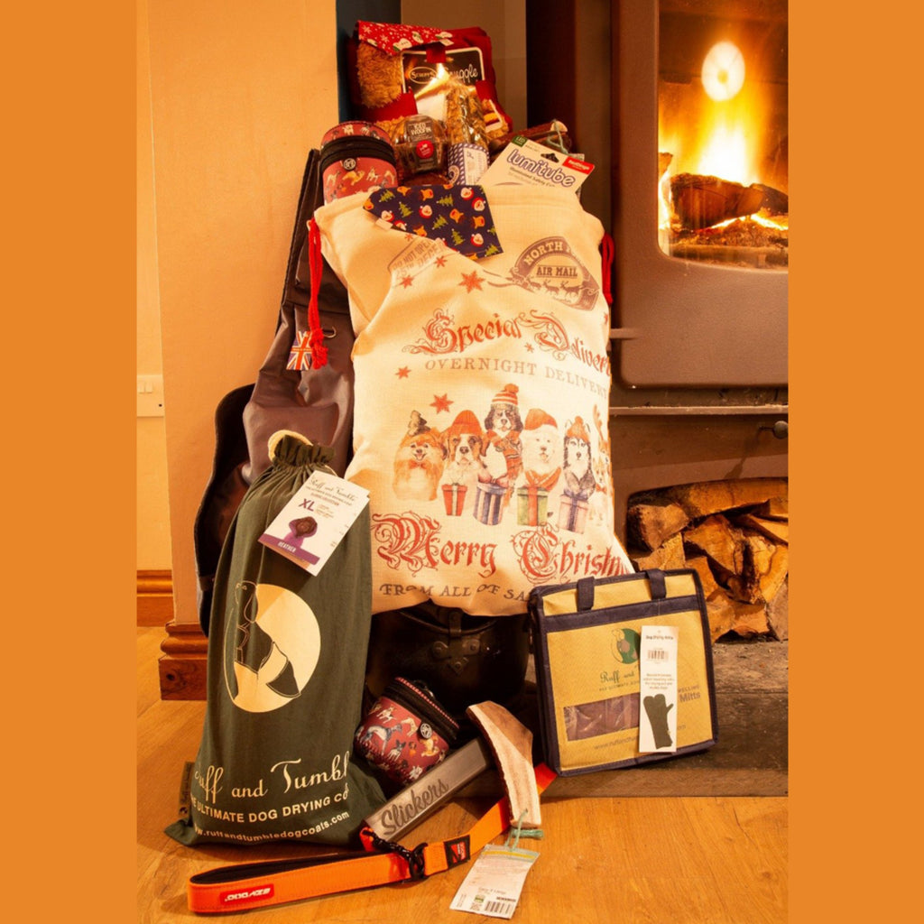 Slickers ◊ Doghouse Accessories Santa Sack