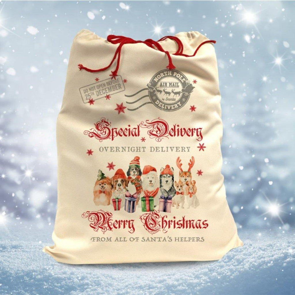 Slickers ◊ Doghouse Accessories Santa Sack