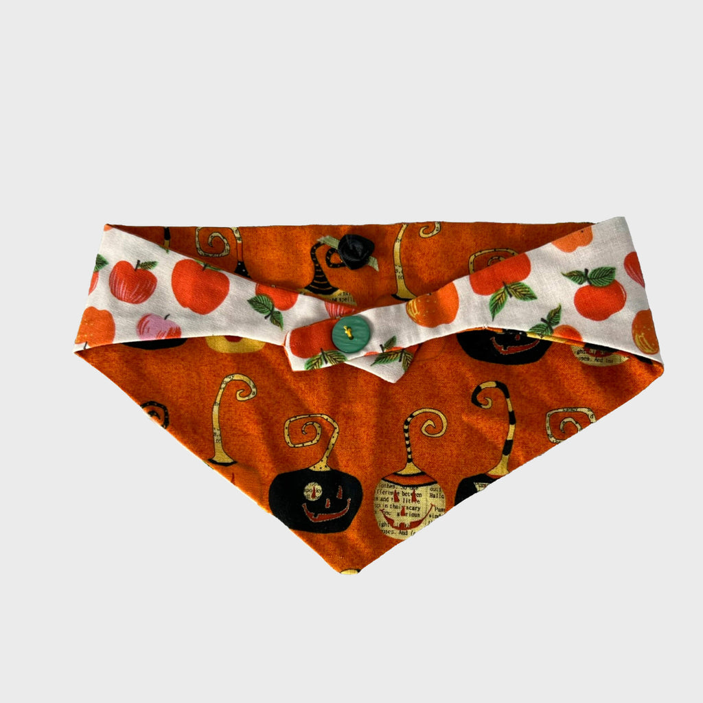 Slickers ◊ Doghouse Bandanna Slip on Reversible Bandanna's