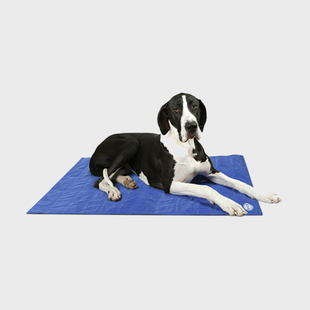 Cool Mat Scruffs - Slickers ‚óä Doghouse