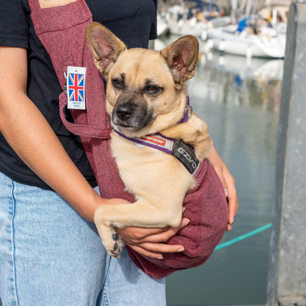 Slickers ◊ Doghouse Dog Carrier Mulberry Tweed Dog Sling