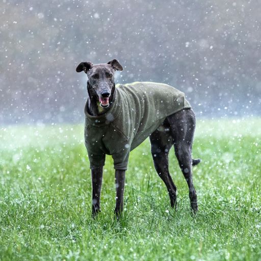 Stix & Roam Dog Coat Stix Waterproof Fleece Coats for Italian Greyhounds