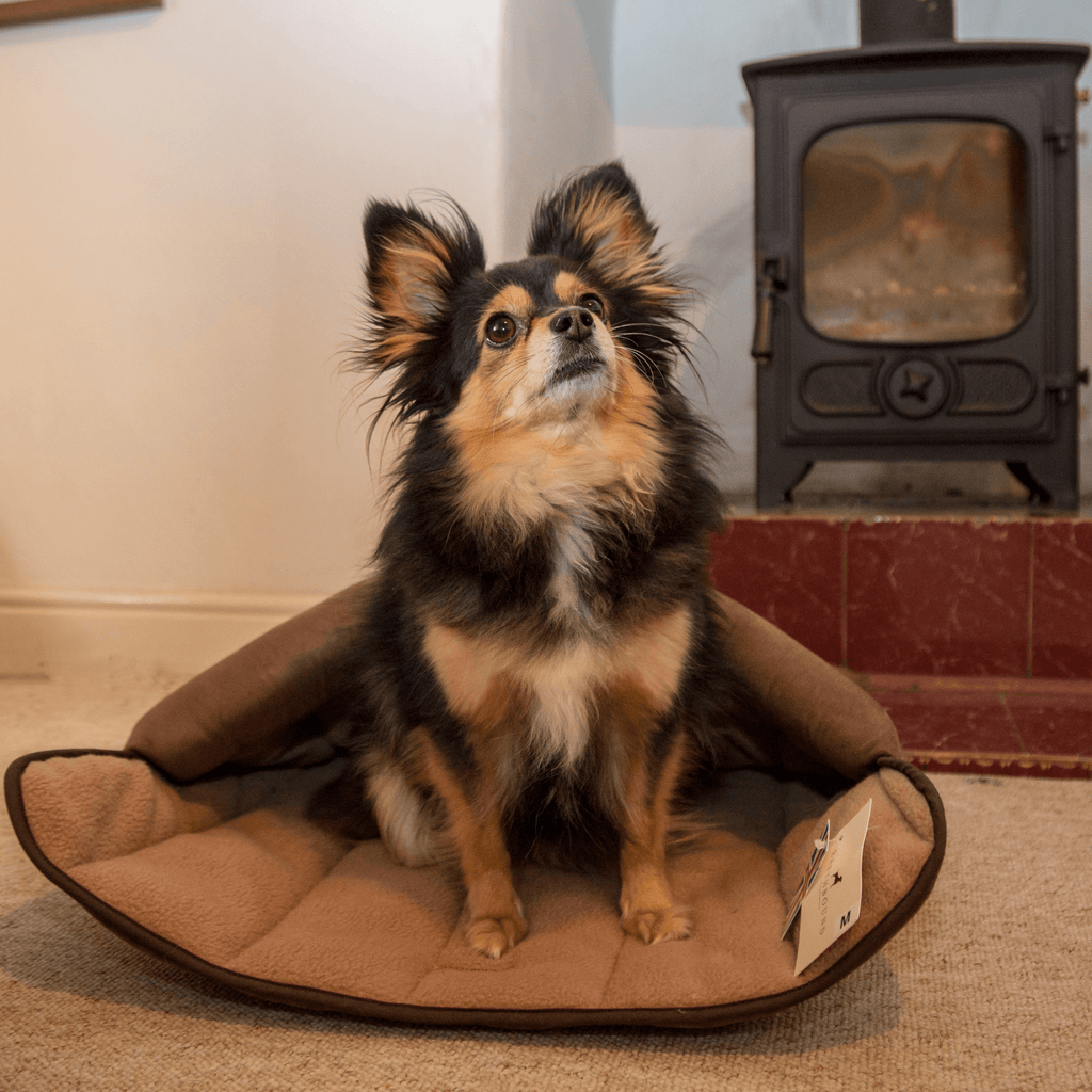 Terrier Tunnel - Slickers ◊ Doghouse