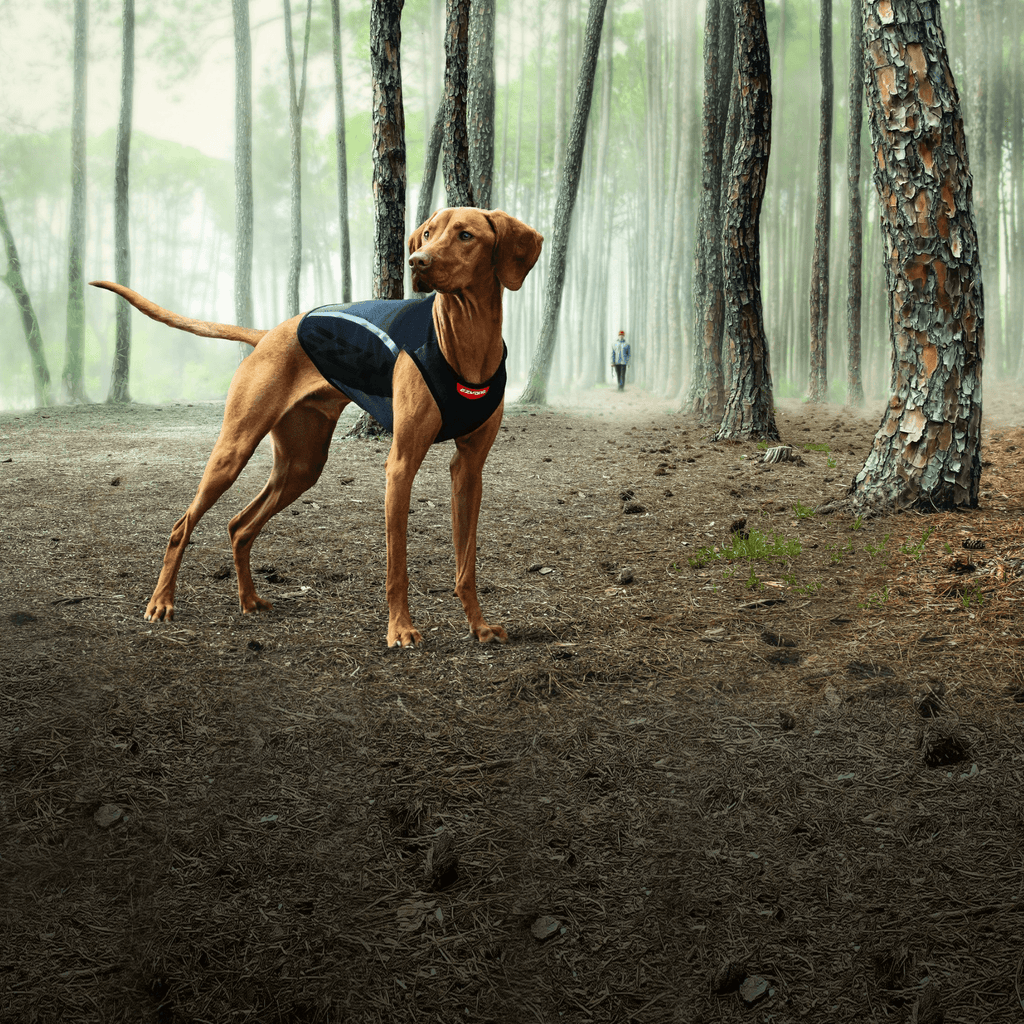 Thermax Thermogenic Vest - Slickers ◊ Doghouse
