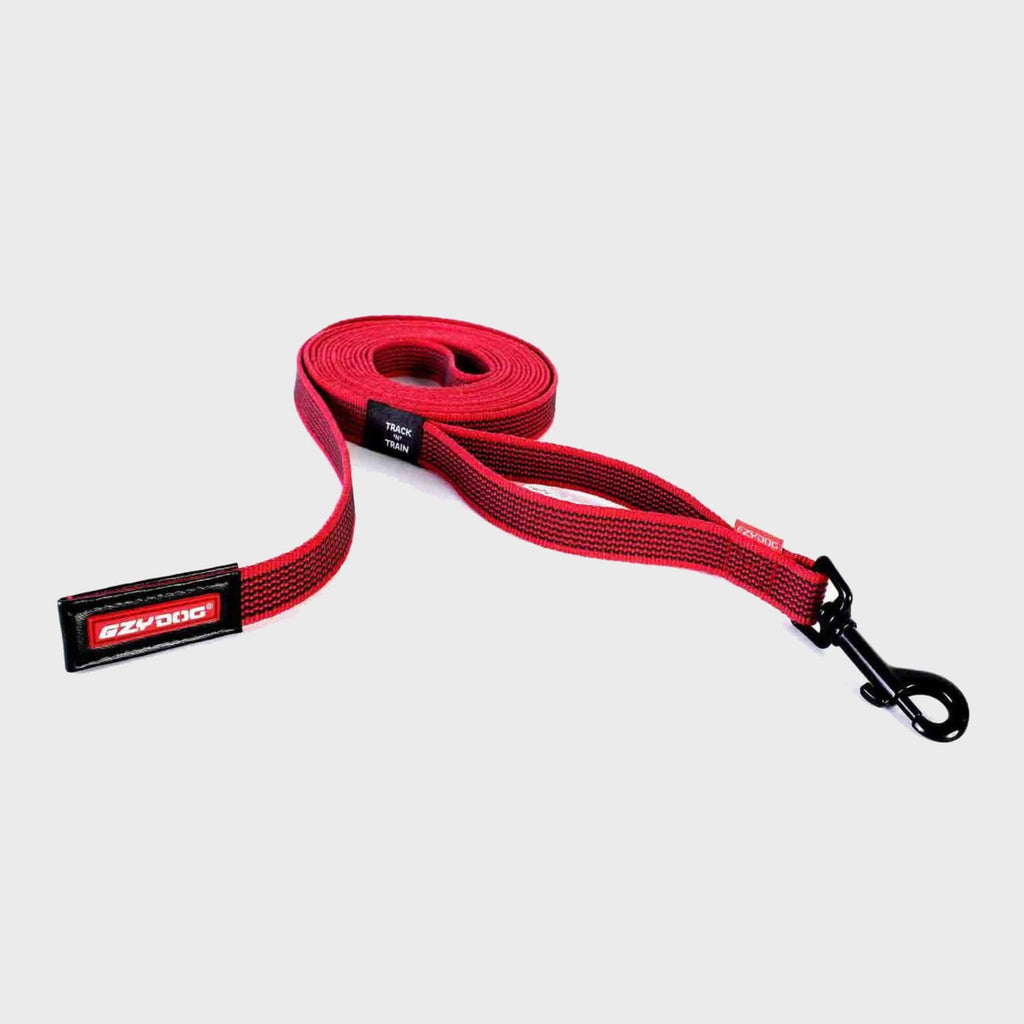 Express Train Slicker Track 'N' Train Leash | Dog Shop – Slickers Doghouse