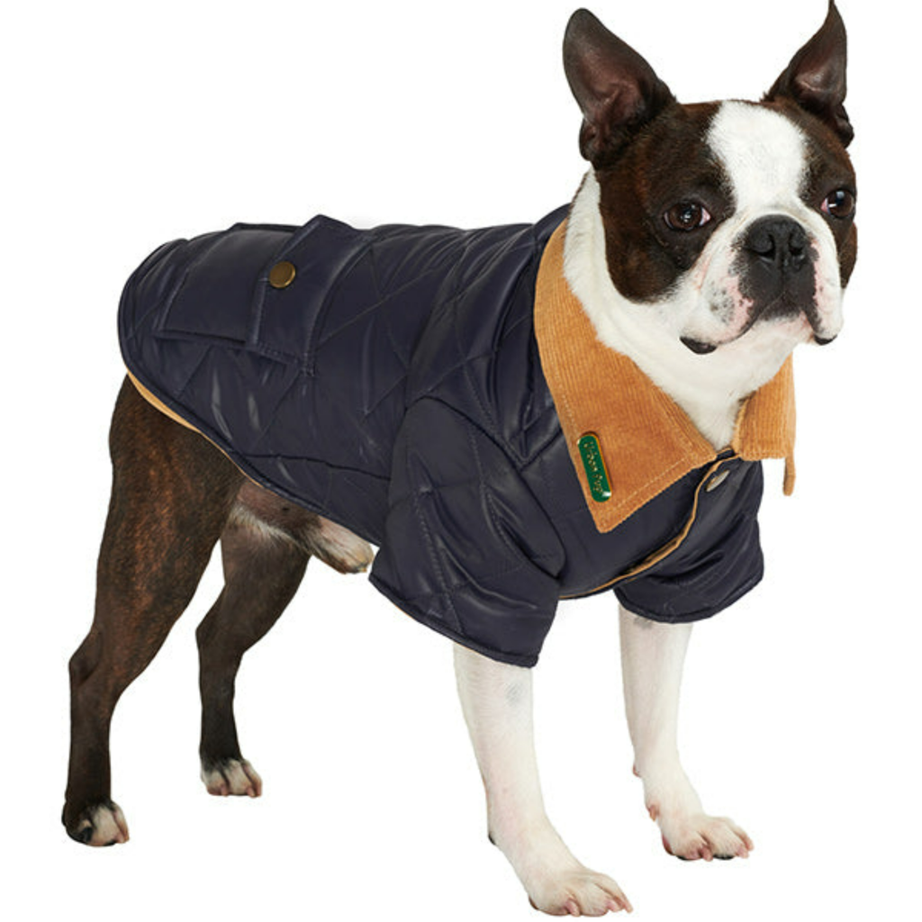 Urban Pup Apparel & Accessories Quilted Town & Country Coat
