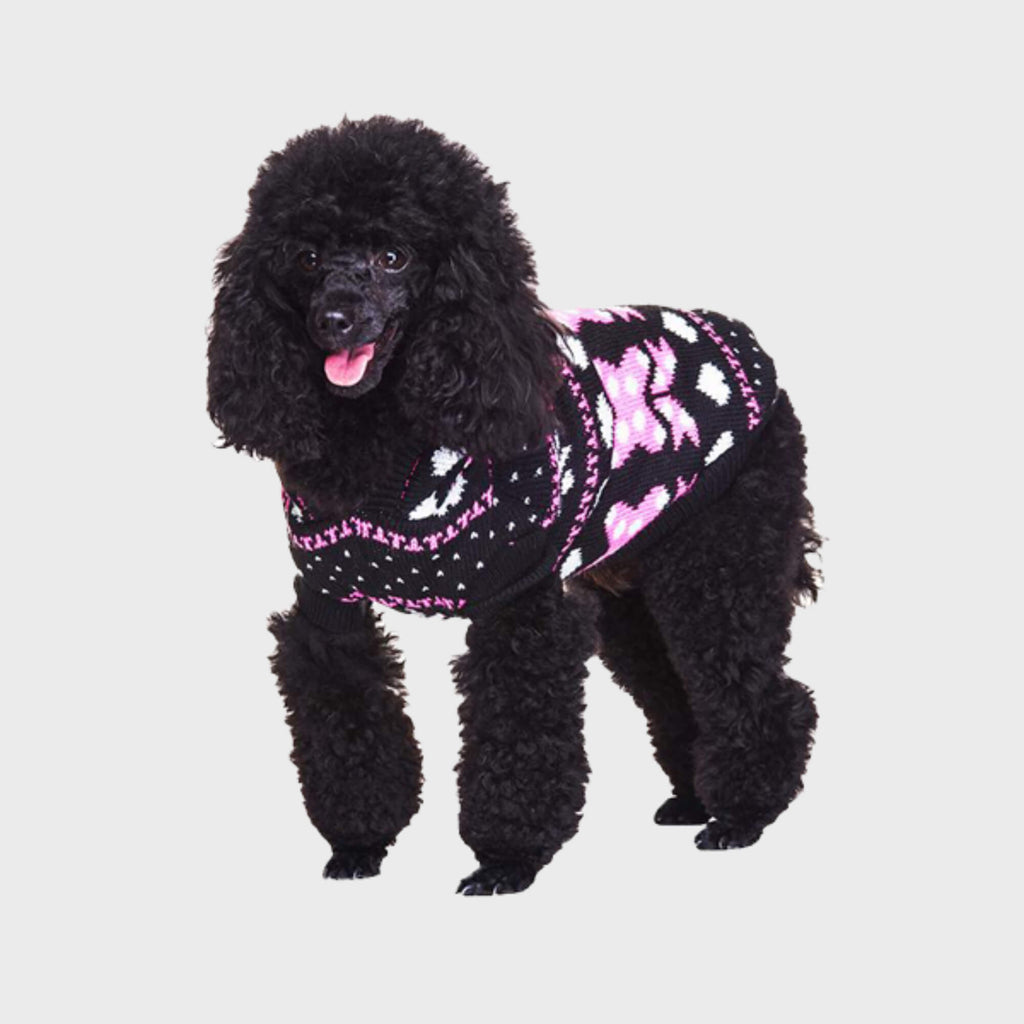 Urban Pup Doggy Wear Wonderland Hooded Jumper