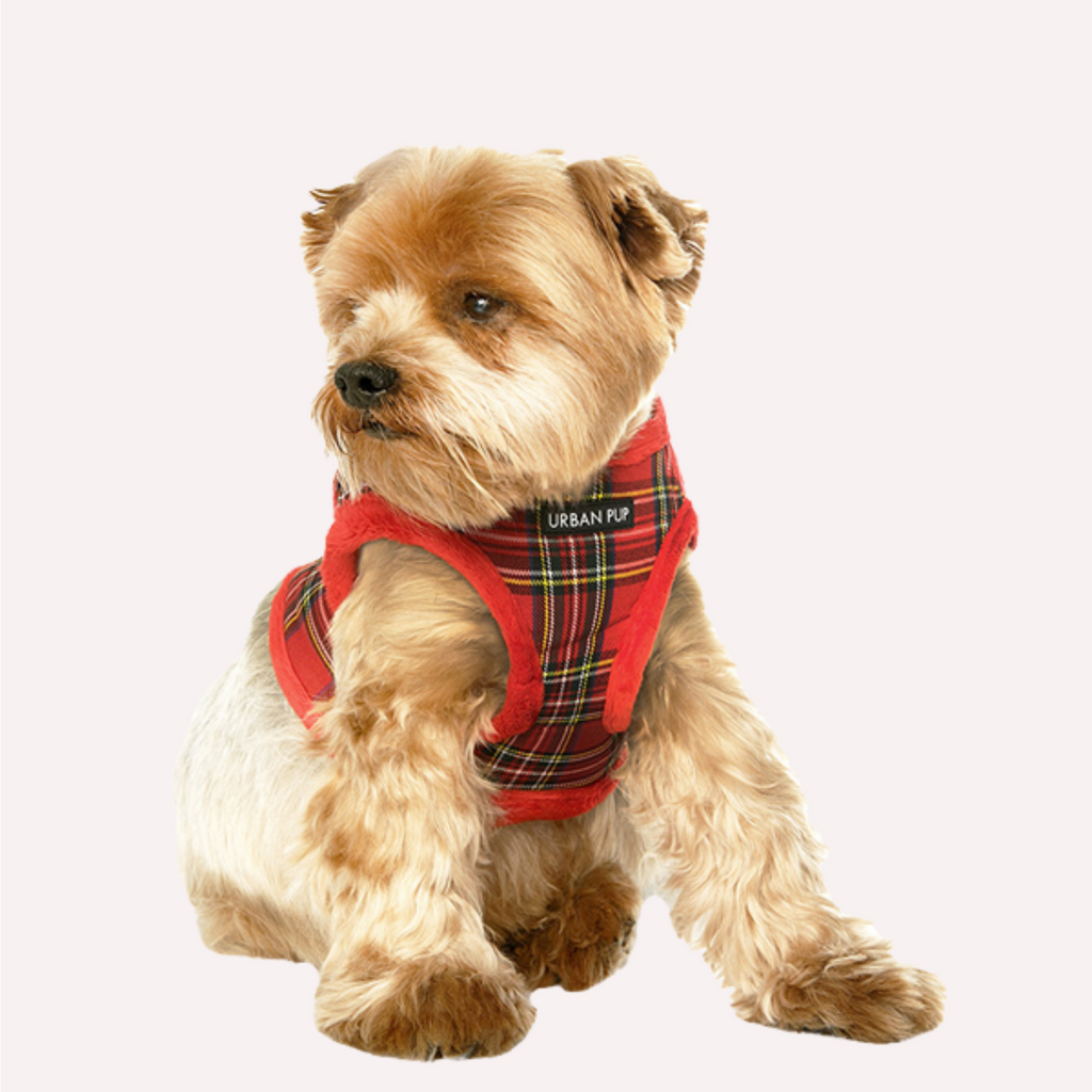 Luxury Fur Lined Harness - Slickers ‚óä Doghouse